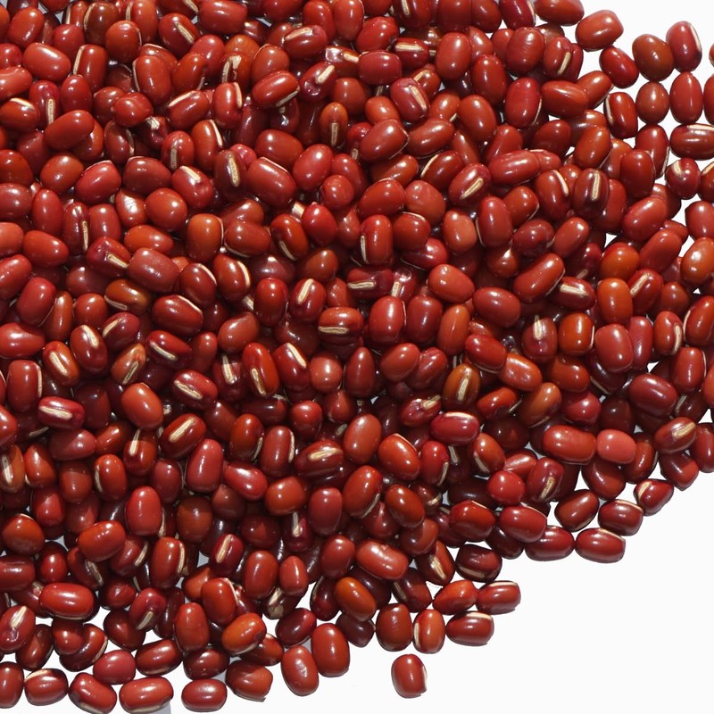 Hokkaido Toyomi Dainagon Azuki bean Azuki bean Azuki Dainagon Azuki