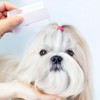 WUSJCOF 5pcs White Lice Comb, Durable Comb with Double-Sided Teeth,