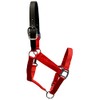 Equitem Break Away Adjustable Leather Cob Nylon Halter (Red)
