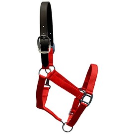 Equitem Break Away Adjustable Leather Cob Nylon Halter (Red)