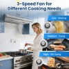 Zomagas 24 inch Range Hood Under Cabinet, Stainless Steel Range