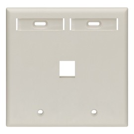 Leviton 1-Port Dual Gang QuickPort Wallplate with ID Windows, 42080-1TP, Light Almond