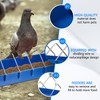 Tioncy 4 Pcs Pigeon Feeder Bird Dispenser Slot Container Poultry