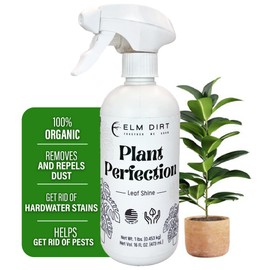 Elm Dirt Plant Perfection Spray for All Plants - Leaf Shine for Indoor Plants & Outdoor Plant Food | Natural Plant Spray for Cleaning Off Dust & Spots, Plant Leaf Cleaner 16oz