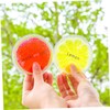 Minkissy 5pcs Mini Fruit Bags Portable Summer Ice Pads for