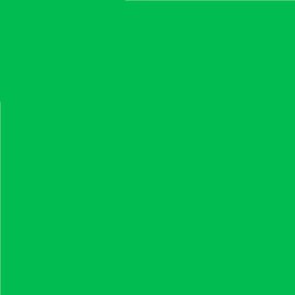 Pack of 3 Lee No. 124 Dark Green - 24 x 24 cm Transparent Heat Resistant Coloured Film for Photo Studio PAR 64 Headlight - Colour Filter Film (Pack of 3, Lee 124 Dark Green)