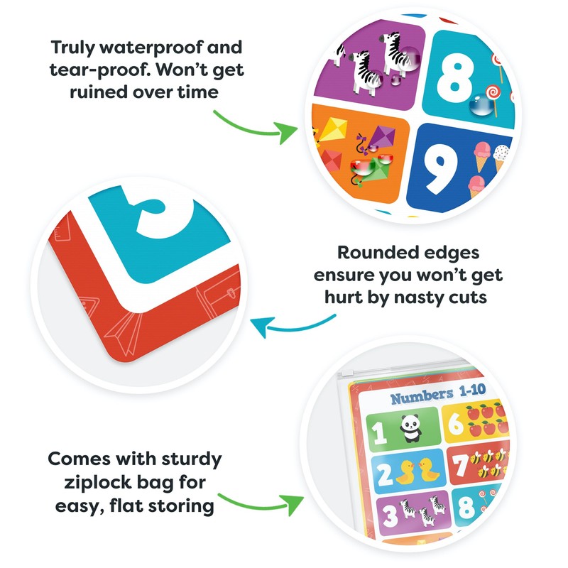 Classroom Educational Posters - 20pcs 16” x 11” - Teacher