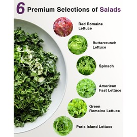 Salad Greens Seed Pod Kit for AeroGarden, iDoo with Red and Green Leaf, Romaine and American Fast, Buttercrunch, Parris Island Lettuce, Spinach - Compatible with All Hydroponics (7-Pod)