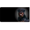 Rottweiler Dog Photo License Plate Free Personalization on This Plate