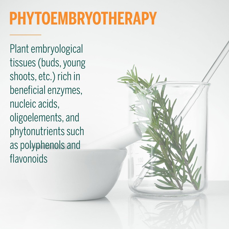 Genestra Brands Meno-gen | Raspberry, Mugo Pine, and Lingonberry Herbal