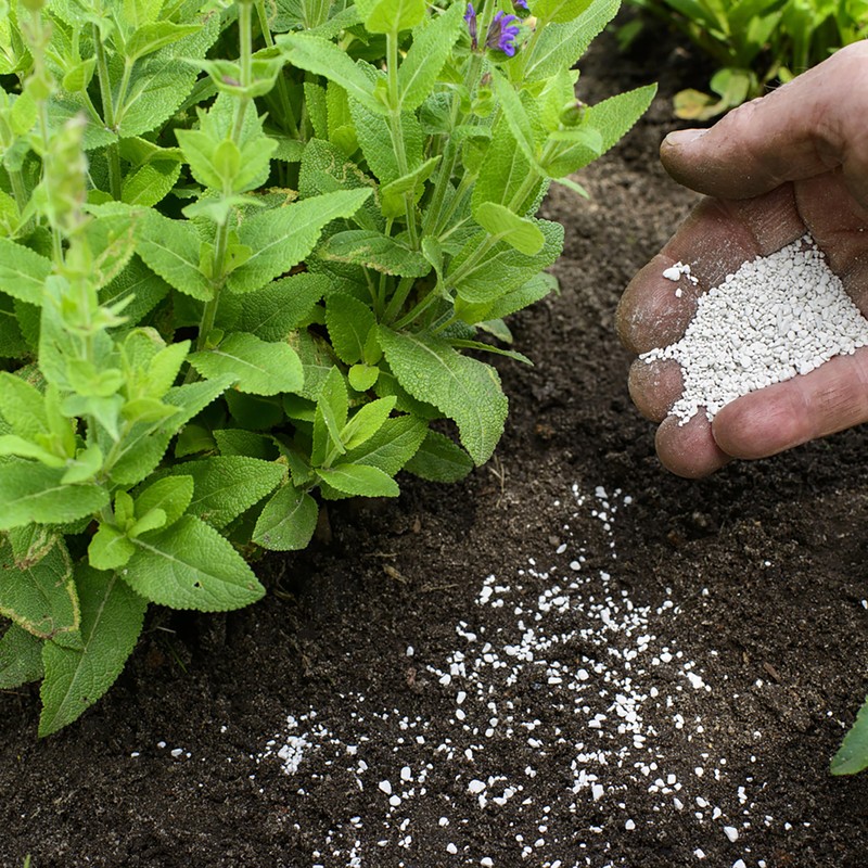 Jobe's Organics Garden Lime, Lime Powder Soil Amendment for Lawns,