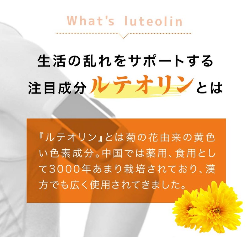 シードコムス ルテオリン 菊花エキス アンセリン 田七人参 ビタミンC キトサン 葉酸 (約12ヶ月分)