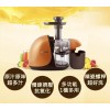 JOYOUNG vegetable and fruit juice slow grinding machine JYZ-E
