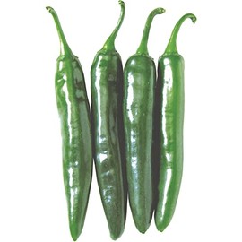 Pepper Seeds - Hot - Korean - Gochu Vita Green - Hybrid - 500 Mg Packet ~50 Seeds - Non-GMO, F1 Hybrid - Asian Garden Vegetable