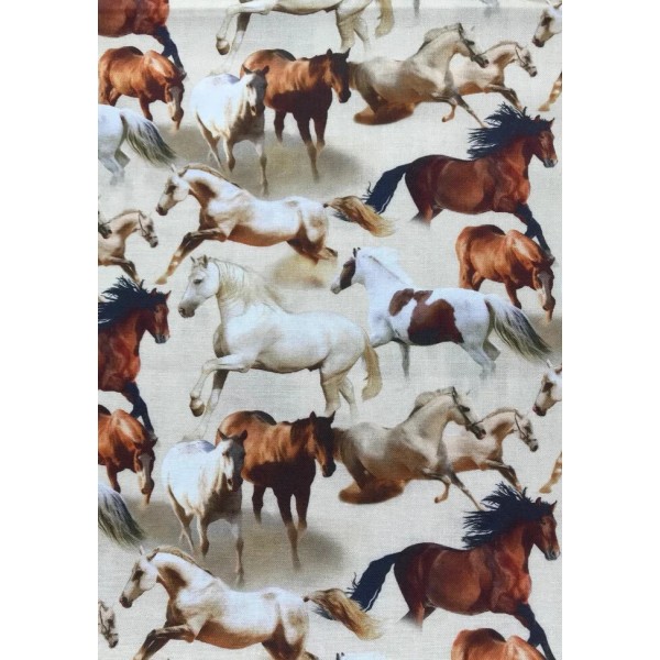 Springs Creative Horses (2 1/2 inch tall and 3 inches)