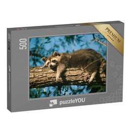 puzzleYOU: Puzzle 500 Piece "Exhausted Raccoon Takes a Nap - From the Puzzle Collection Raccoons, Animals in Forest & Mountains, Exotic Animals & Trendy Animals