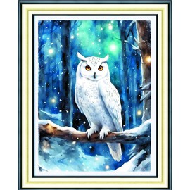 Meecaa Cross Stitch Kits 11 Count Stamped Animal Night Sky Owl Embroidery Kit with Accessories Pre-Printed (40x50cm) (Animal)
