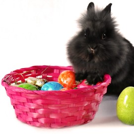 com-four® 4x colorful raffia baskets and egg colors as decoration for Easter - Easter nest in great colors - Easter basket with Easter grass (Set 1 - colorful)