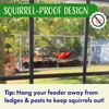 Window Bird Feeder by Nature's Hangout - Award-Winning Transparent Acrylic