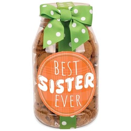 100 North Oh Sugar! Sweets! Delicious Mini Chocolate Chip Cookies in 10 Ounce Giftable Decorative Jar Container, Best Sister Ever