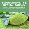 HANDPICK, Moringa Powder (500g/17.6oz) Pure Moringa Oleifera/Moringa Leaves | Resealable