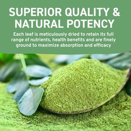 HANDPICK, Moringa Powder (500g/17.6oz) Pure Moringa Oleifera/Moringa Leaves | Resealable Zip Lock Pouch | Perfect for Cooking, Smoothies, Lattes & Moringa Tea