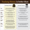 Premium Tualang Gold Honey 1.8oz (TA 10.5+, Pollen Count 6.5M+,
