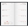 rido/idé Iridescent Pocket Planner 2 Pages = 1 Week, A6,