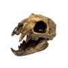 Aztec Death Whistle - Apex Predator