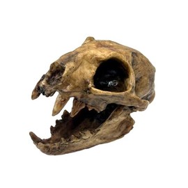 Aztec Death Whistle - Apex Predator