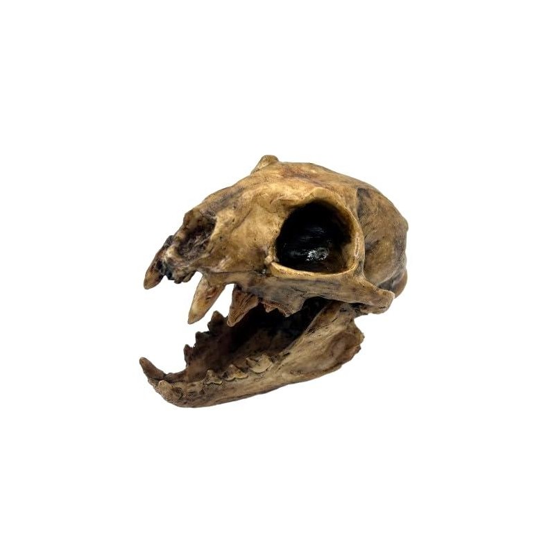 Aztec Death Whistle - Apex Predator