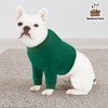 Queenmore Dog Surgery Recovery Sleeve Front Legs, Breathable Dog Recovery