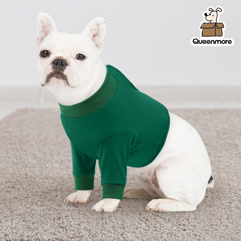 Queenmore Dog Surgery Recovery Sleeve Front Legs, Breathable Dog Recovery