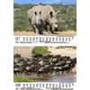 Tierzauber Africa DIN A5 Wall Calendar for 2024 Various Animals