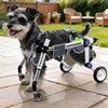 LetPetRun Dog Wheelchair 4 Wheels Adjustable, Full Body Support Dog