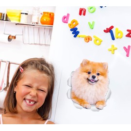 Winston & Bear Puffy Pomeranian Dog Wall Decals - 2 Pack - German Spitz 3D Sticker Decals for Walls, Cars, Toilet and More - Retail Packaged Pomeranian Gifts