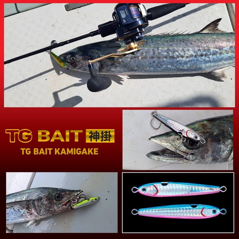 DAIWA Tungsten Jig, TG Bait, Kamikake, 2.8 oz (80 g),