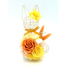 Korolla Seina Preserved Flower White Cat Black Cat Flower Gift Present Made in Japan Cat Wire (Orange/White)