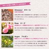 Rose de Marrakesh Clay Wash Foam < Face Wash with