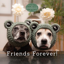 Sookie and Ivy Friends Forever! (Fox Chapel Publishing) Beautiful Gift Book Featuring Cute Photos of Dogs in Hats, with Uplifting and Funny Quotes About the Joy of Friendship