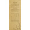 Whittard of Chelsea Mango and Bergamot Loose Tea Pouch 100