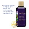 Shampoo Anticaída Terramar 250 Ml Árnica, Romero Y Limón
