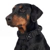Relux Tactical Dog Collar (Black, X-Large)