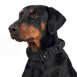 Relux Tactical Dog Collar (Black, X-Large)