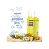 Shampoo Y Acondicionador De Hierbas Cabello Dañado Nefertiti