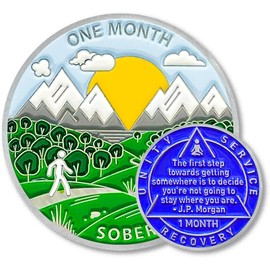 1 Month Sobriety Coin 30 Days Sobriety Chips AA Chip AA Coins 1 Month Sober chip Token Recovery Medallion Plastic case Included-Baking Paint Process