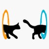 Portal Cat Waterproof Vinyl Window Bumper Sticker Decal 5"