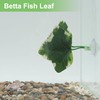 CAPASTEC Betta Fish Leaf, Natural Habitat Simulation for Betta Spawnings