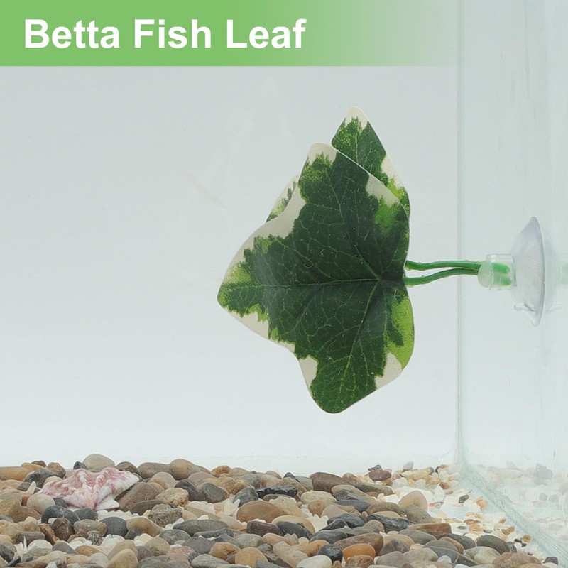 CAPASTEC Betta Fish Leaf, Natural Habitat Simulation for Betta Spawnings