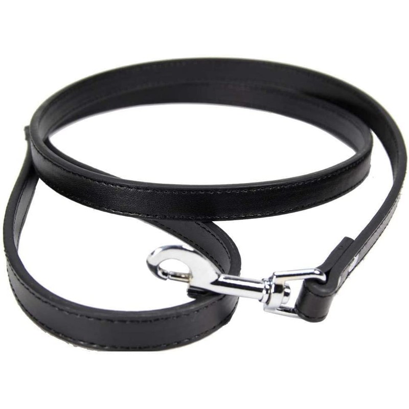 Vibrant Leather Dog Collar & Lead Combo Set for Puppy,